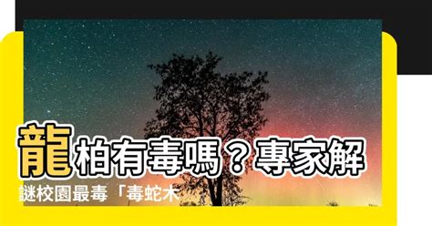 龍柏有毒嗎|〈龍柏有毒？〉...